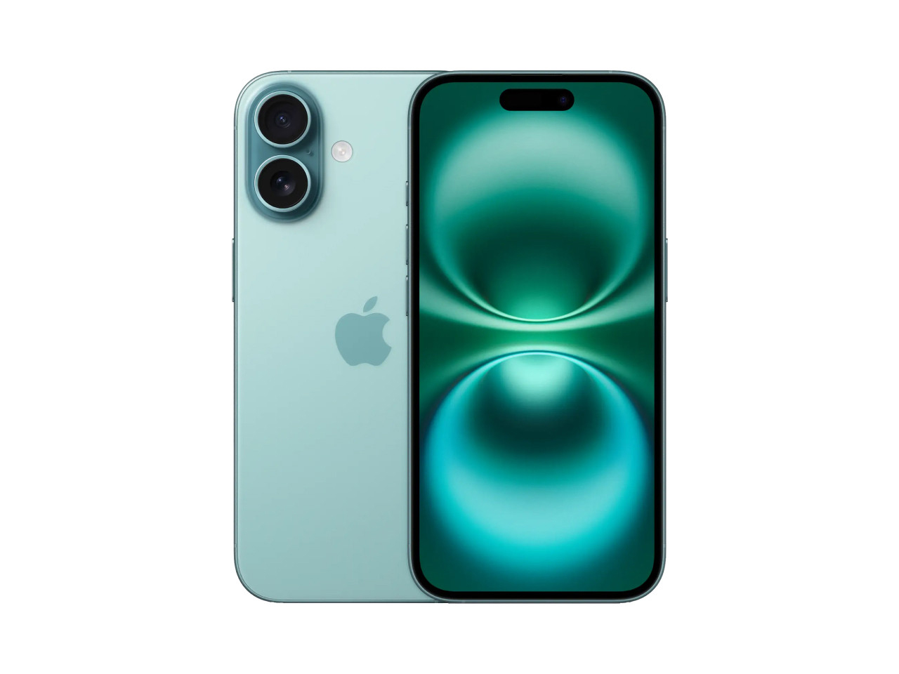 16 teal (2)